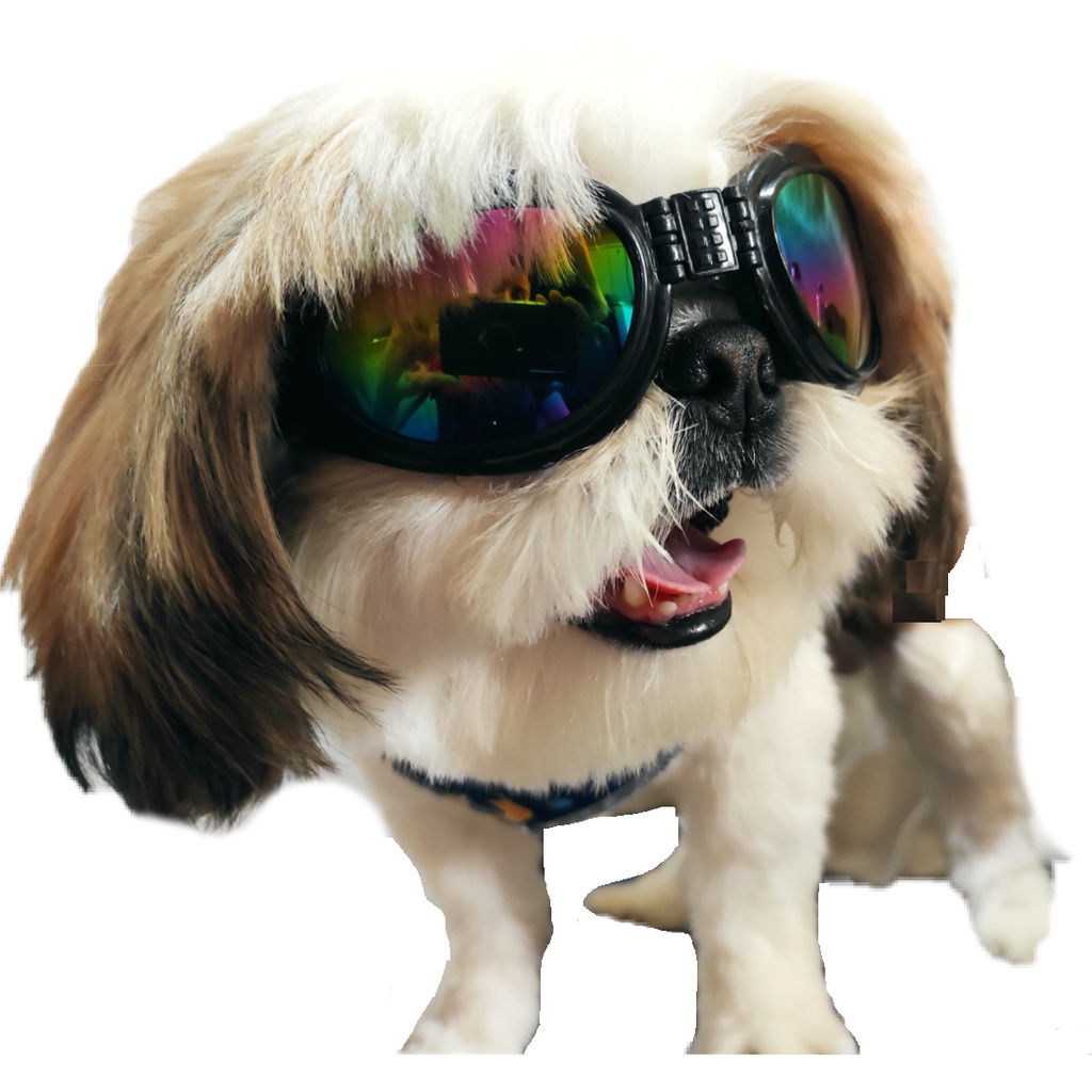 Óculos para cachorros