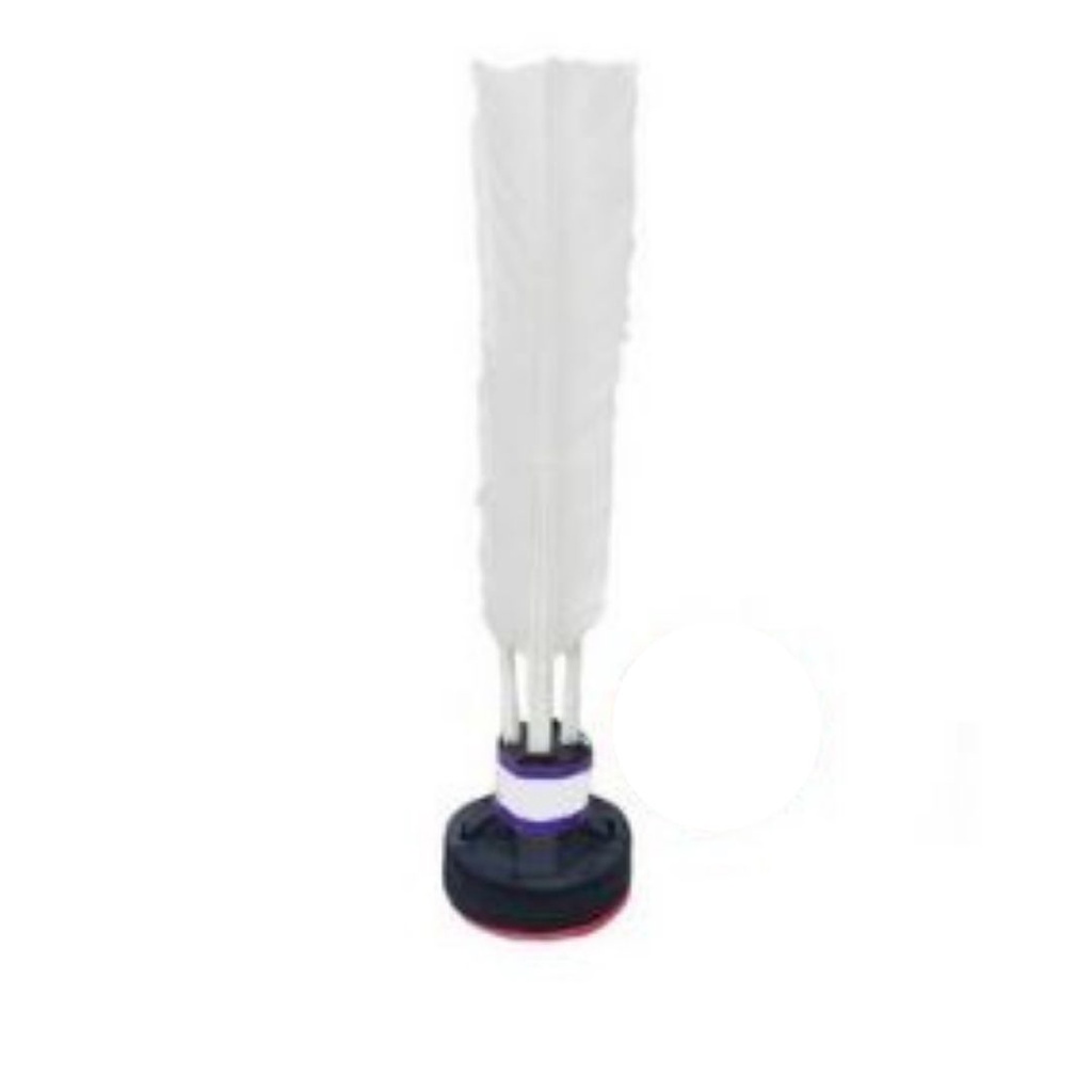 Peteca Branca Caixa Infantil 20 Cm Crianças Prese