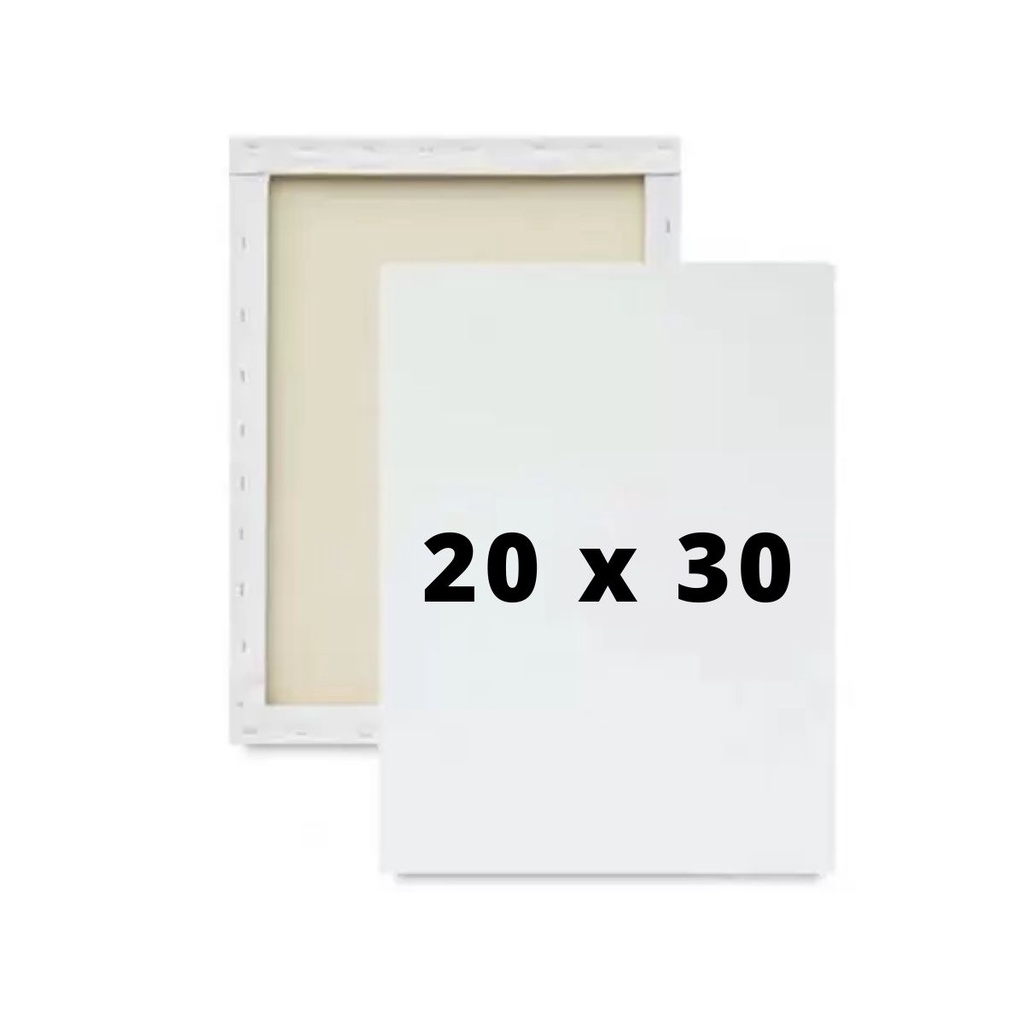 Tela de Pintura 20×30 cm – 1 Unidade