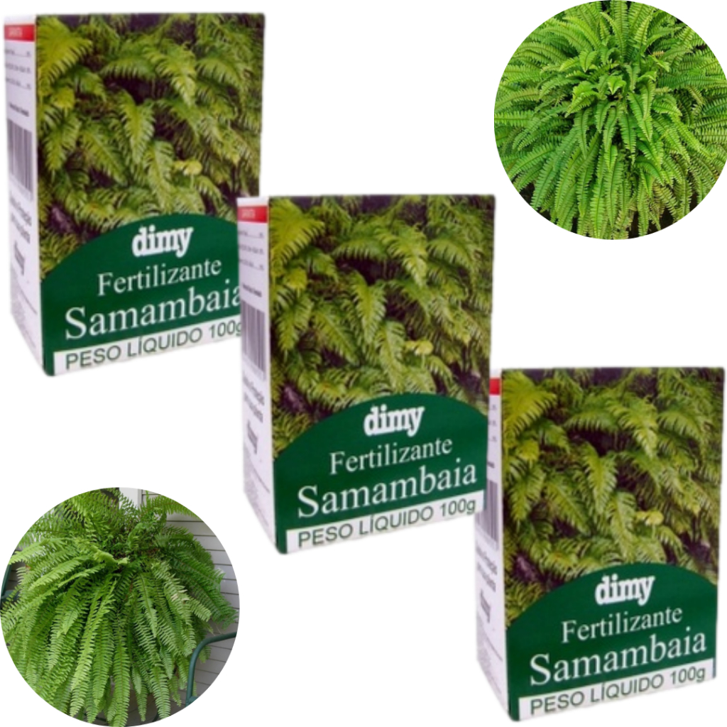Kit Fertilizante Samambaia 100g Com 3 unidades Dim