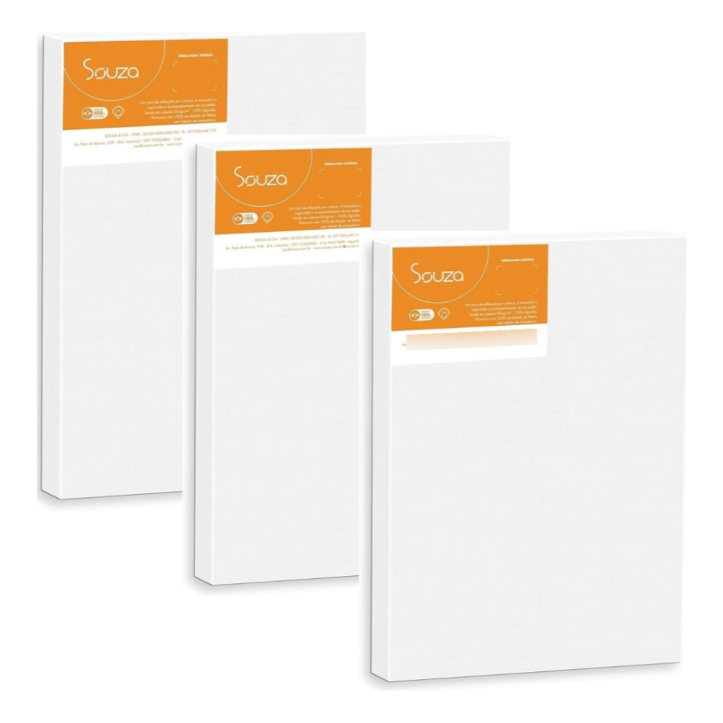 Kit 3 Telas Para Pintura 30×40 Souza Arte e D