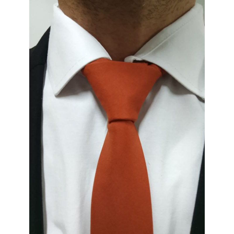 kit 10 gravatas terra cota tradicional slim ( teci