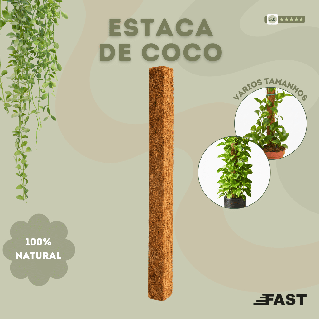 Estaca de Fibra de Coco Suporte eTutor para Planta