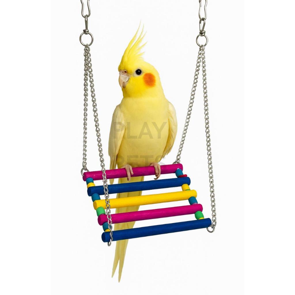 Balanço CORRENTE Colorido, Para Calopsita, Periqu