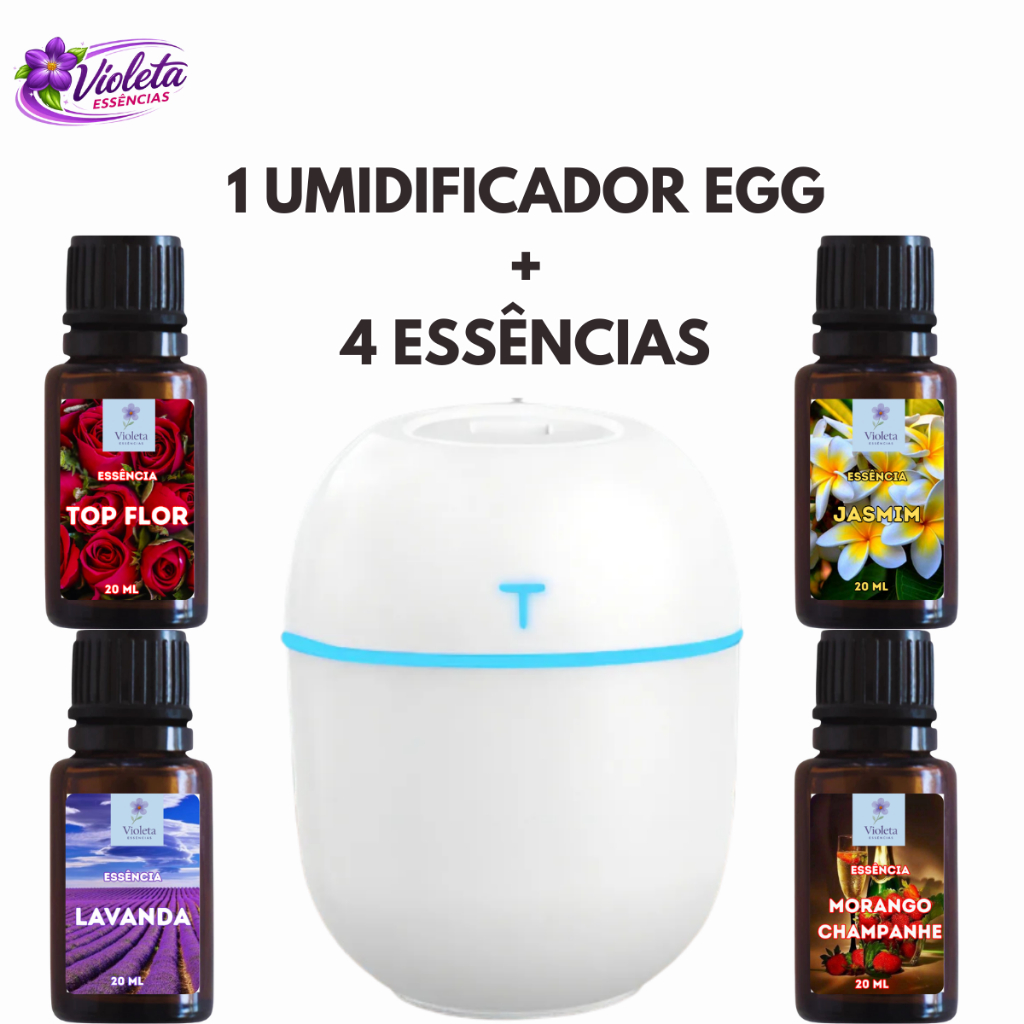Kit Umidificador Difusor Aromatizador Egg 220ml + 