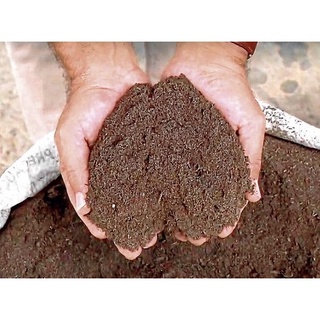 Esterco De Galinha De Cama De Esterco De Frango Cu