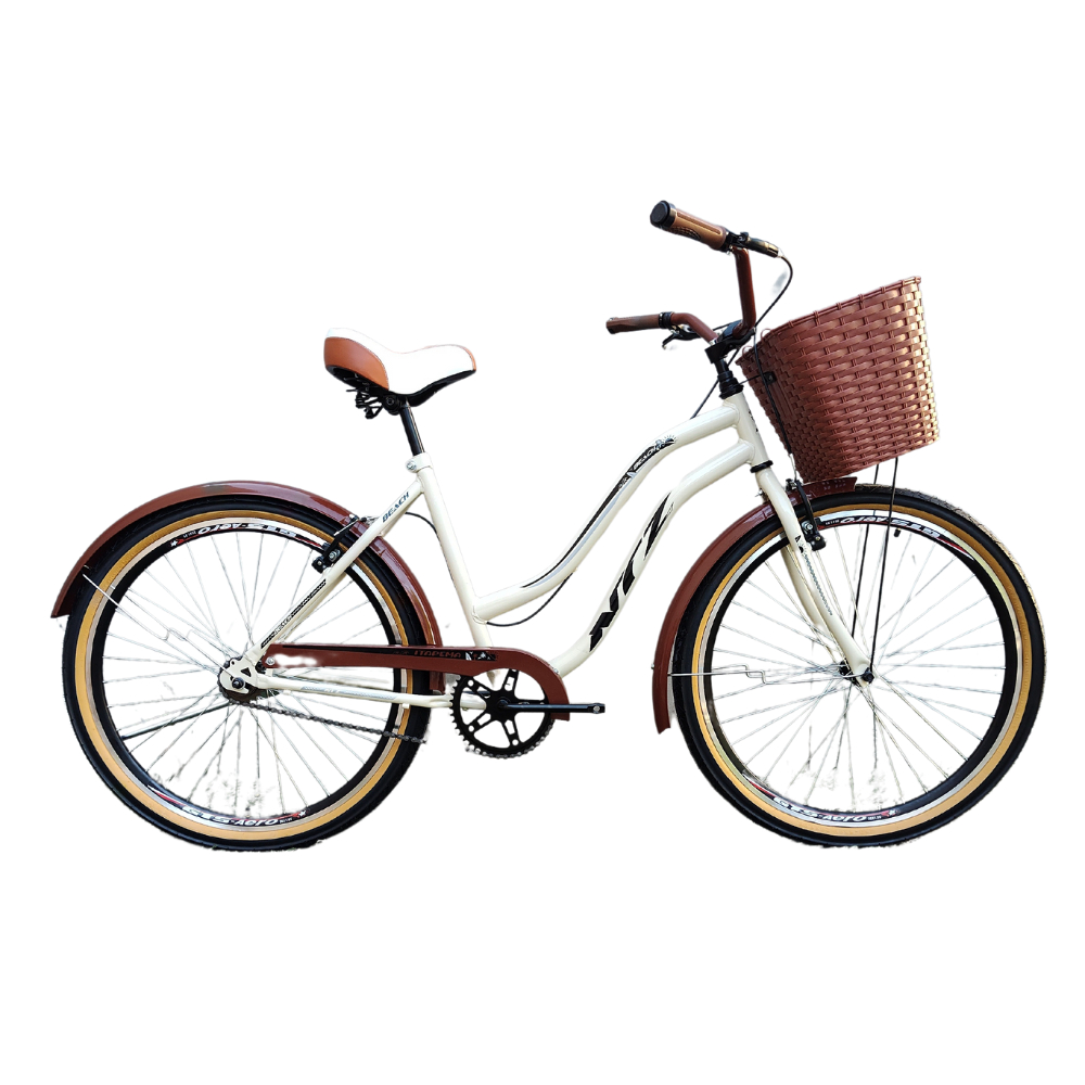 Bicicleta Retro Vintage Feminina Passeio Ntz Bikes