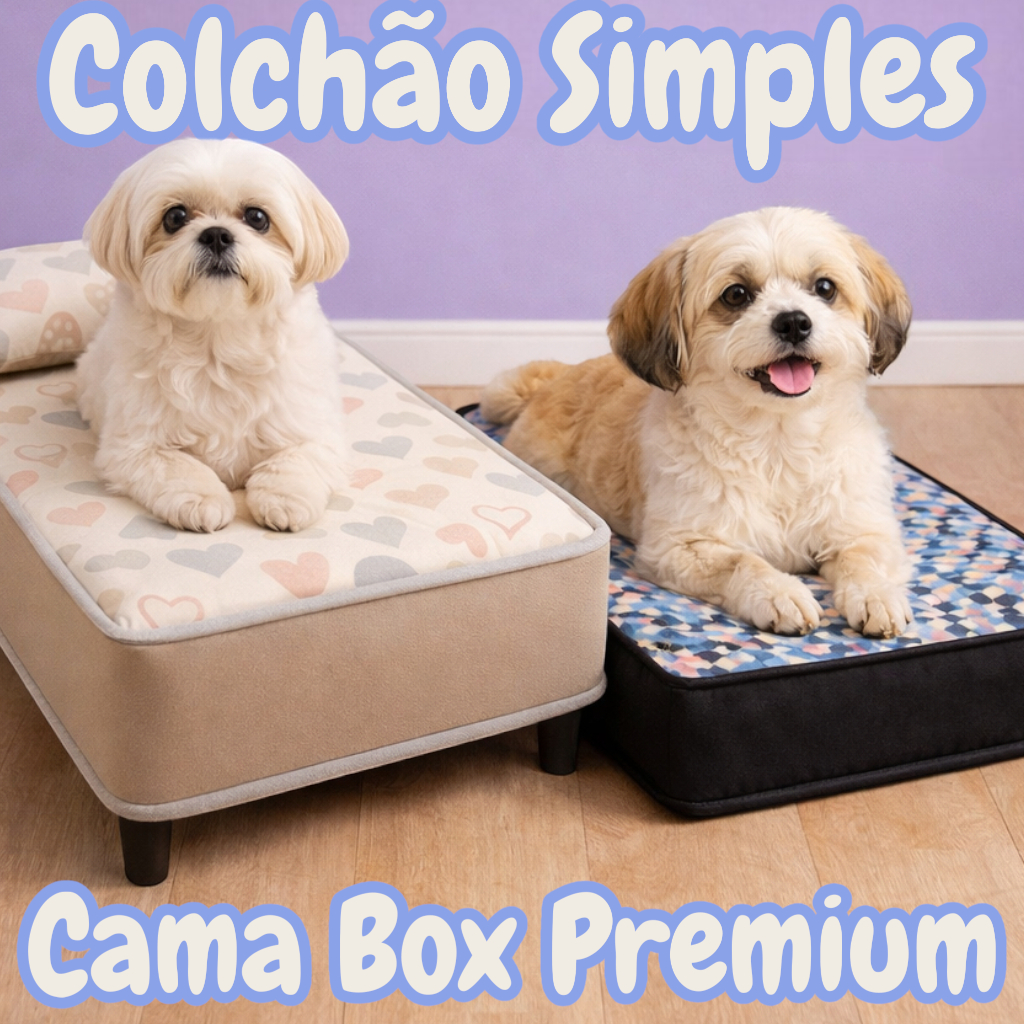 CAMA BOX OU COLCHÃO MEDIO para Cachorro Ortopédi