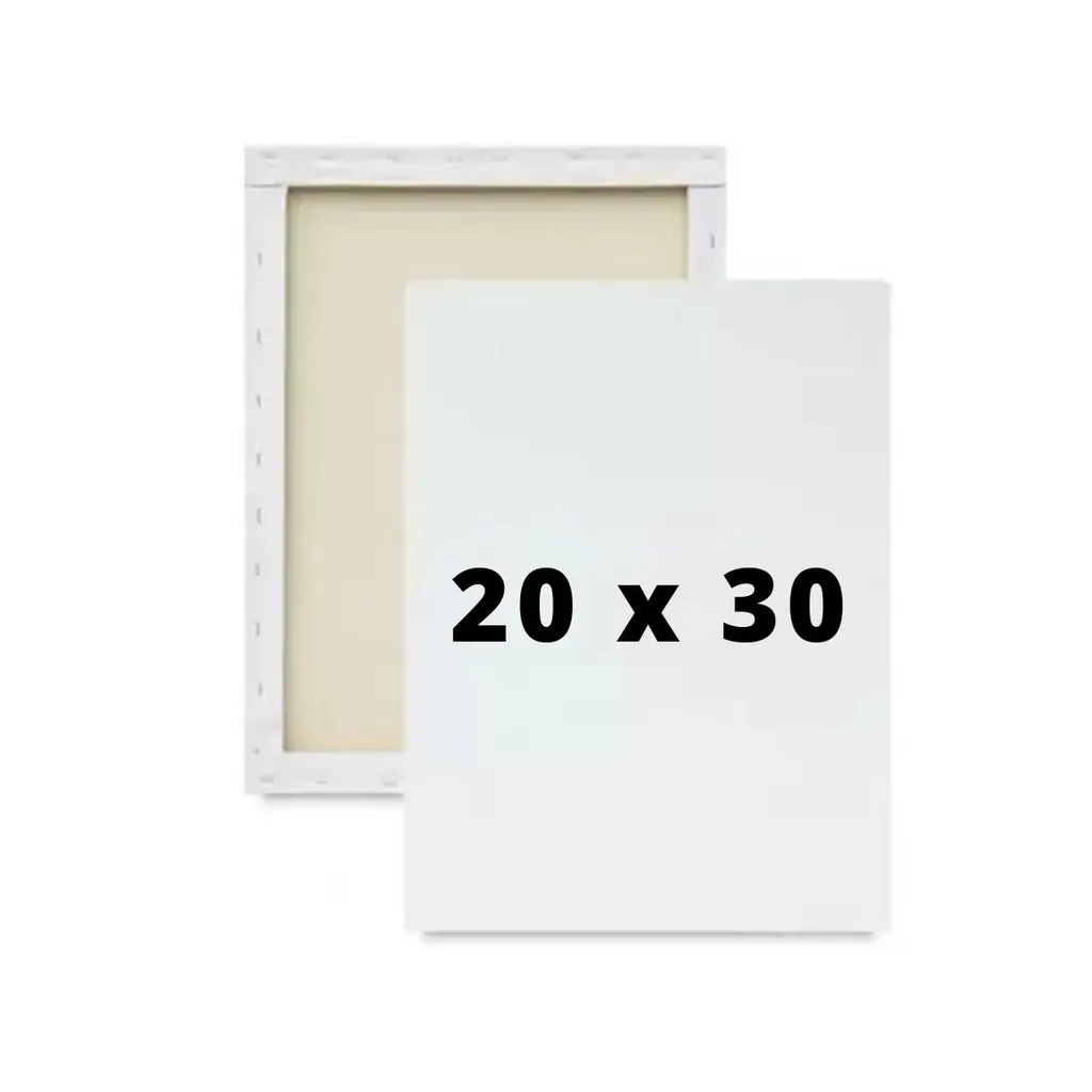 TELA DE PINTURA 20X30