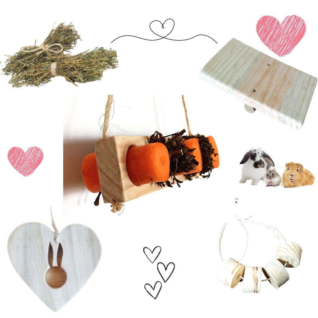 Kit Brinquedos Enriquecimento Ambiental De Roer Pa