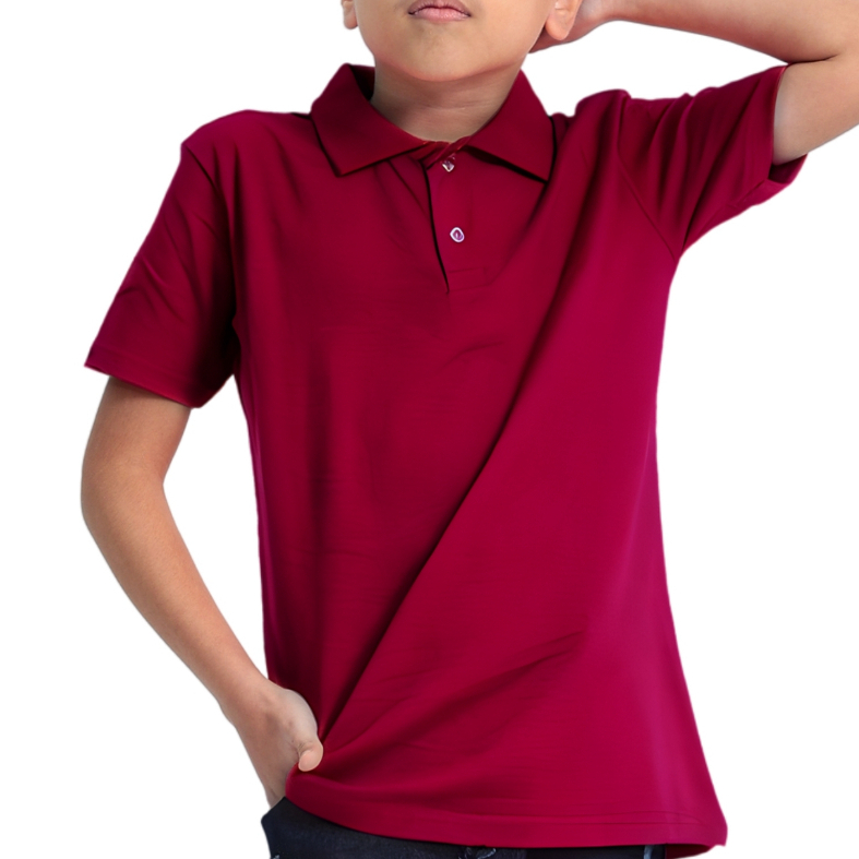 Camisa Polo Infantil Masculino Juvenil Algodão Le