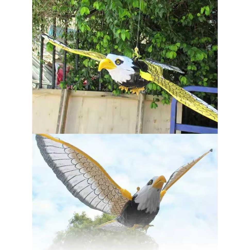 Águia / Gavião Espanta Pássaros Pardais e Pombo