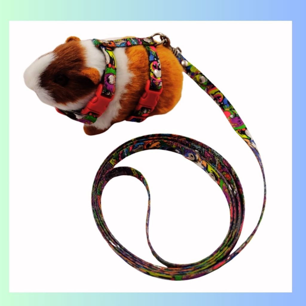 Peitoral De Porco Da Índia Para Passear Porquinho