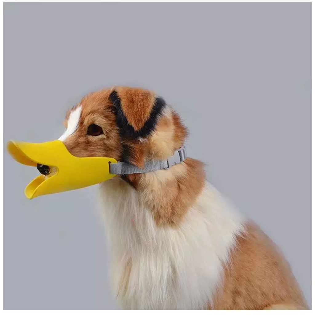 Focinheira Bico De Pato Em Silicone