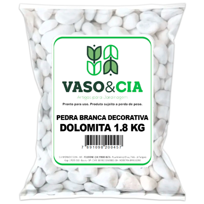 Pedra Dolomita Branca Seixo Branco – Vaso Ja