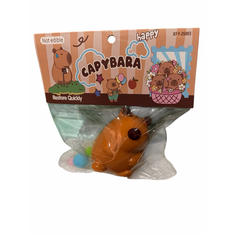 tabish squash capivara