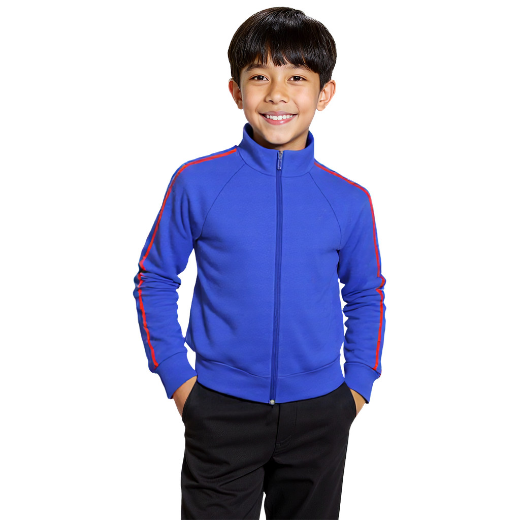 Blusa Helanca Infantil Azul Royal Friso Listra Ver