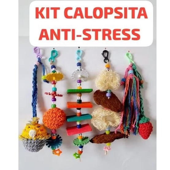Kit 5 Brinquedos Calopsita, RingNeck, Agaponis, Pe