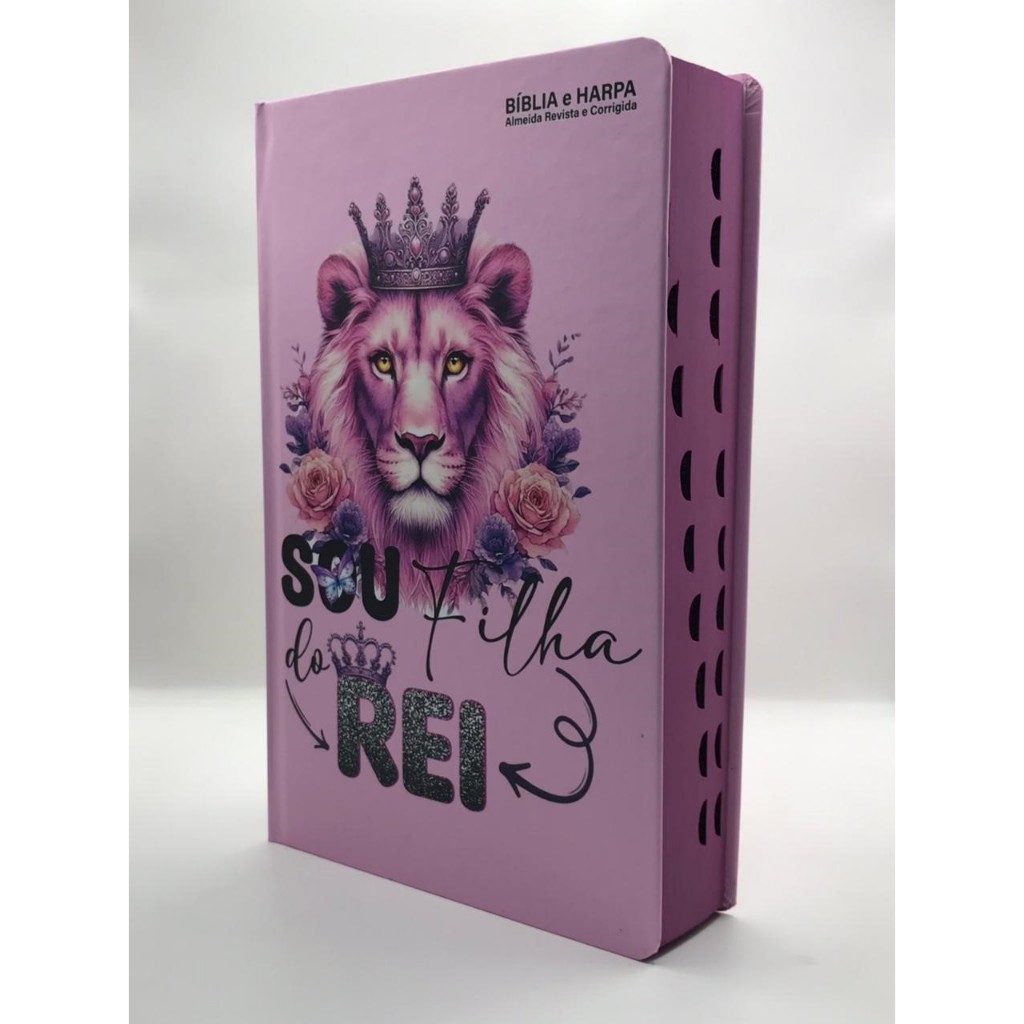Bíblia Sagrada Tamanho Grande com Harpa Palavras 