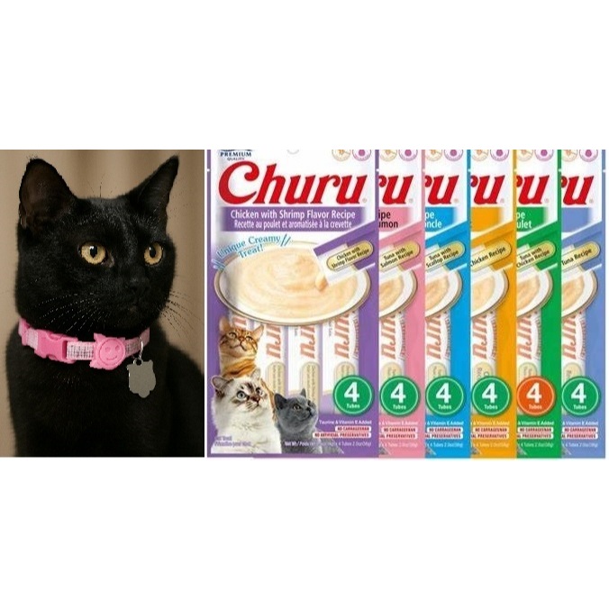 Churu Petisco Pure Cremoso para Gato Pet Sabores &