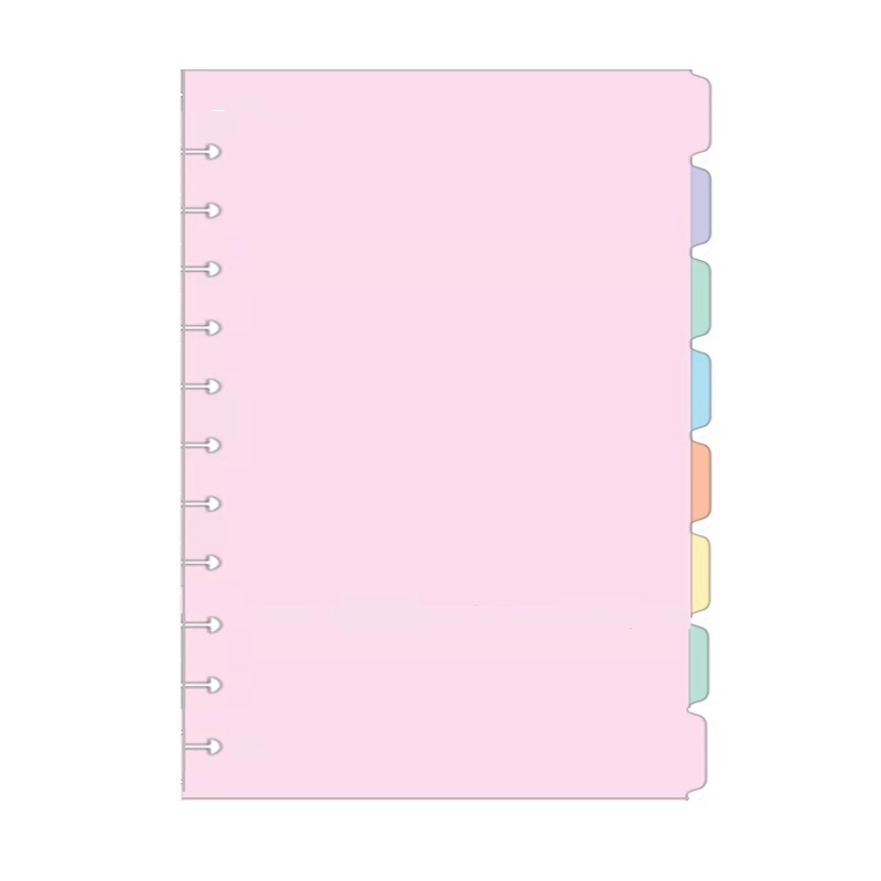 Refil + Divisórias Caderno Inteligente Tilidisco 