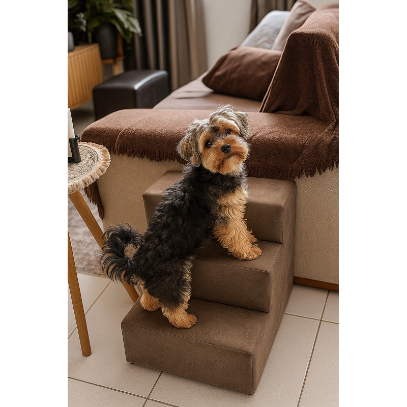 ENVIO IMEDIATO – Escada para PET para seu am