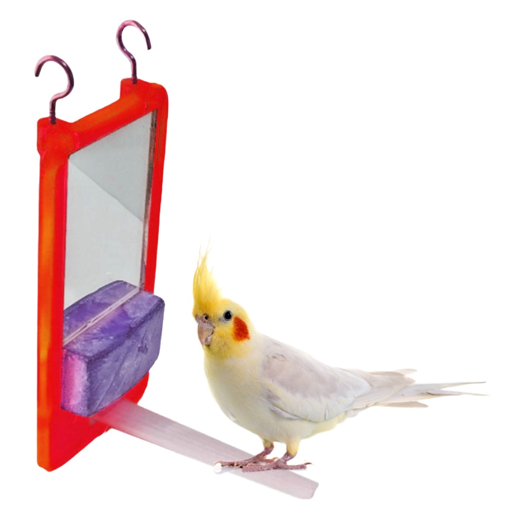 Brinquedo Bica Bica Com Pedra De Calcio e Espelho 