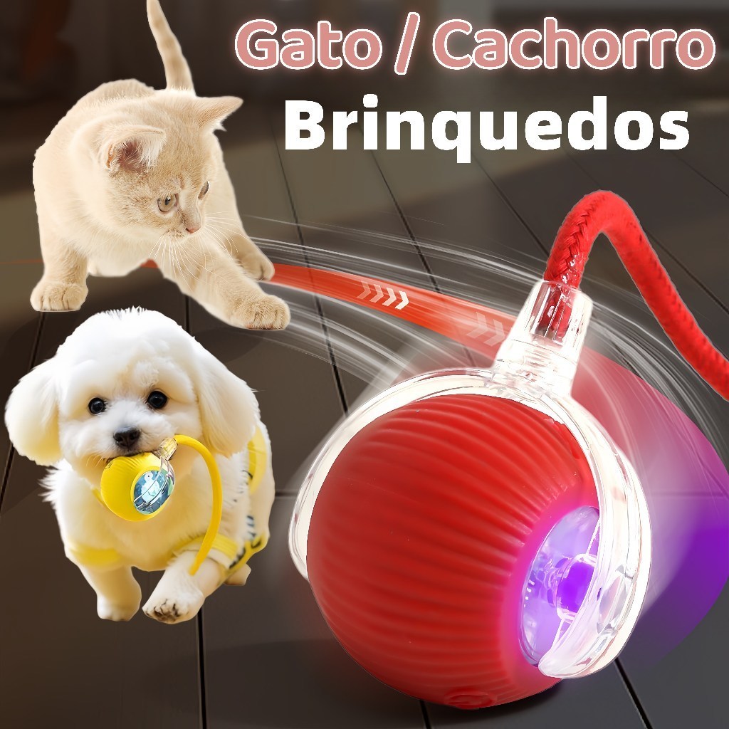 Bola Brinquedo Bolinha Para Gato Cachorro Auto Mag
