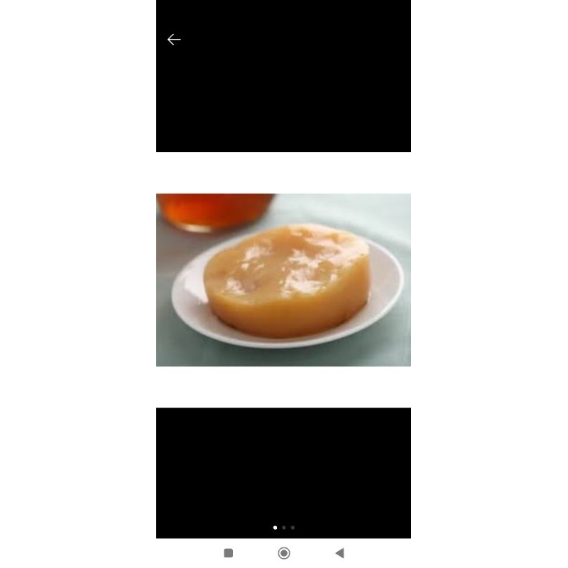 Scoby americano fracionado com manual
