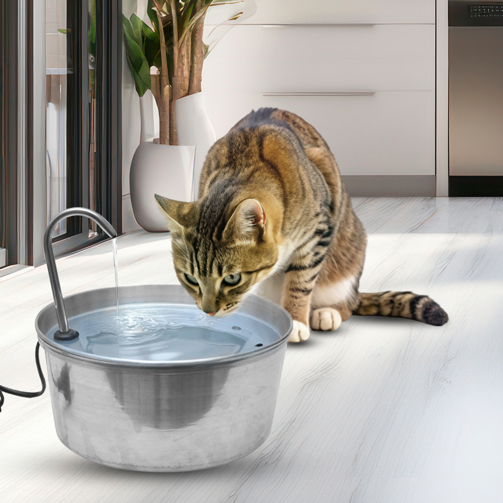 Bebedouro Fonte de Água Automática Elétrica Biv