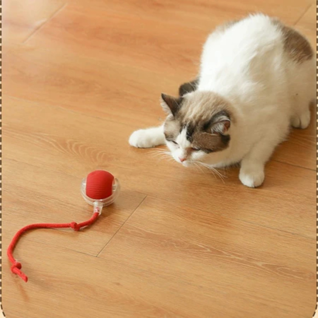 Gato Brinquedo Gravidade Inteligente Rolando Bola