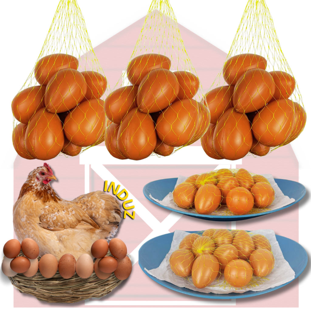 Ovo Caipira Falso Brincadeira Galinheiro de Plasti