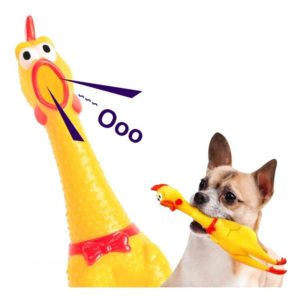 Kit 1, 2 ou 3 Mordedor Frango Com Barulho Disponí