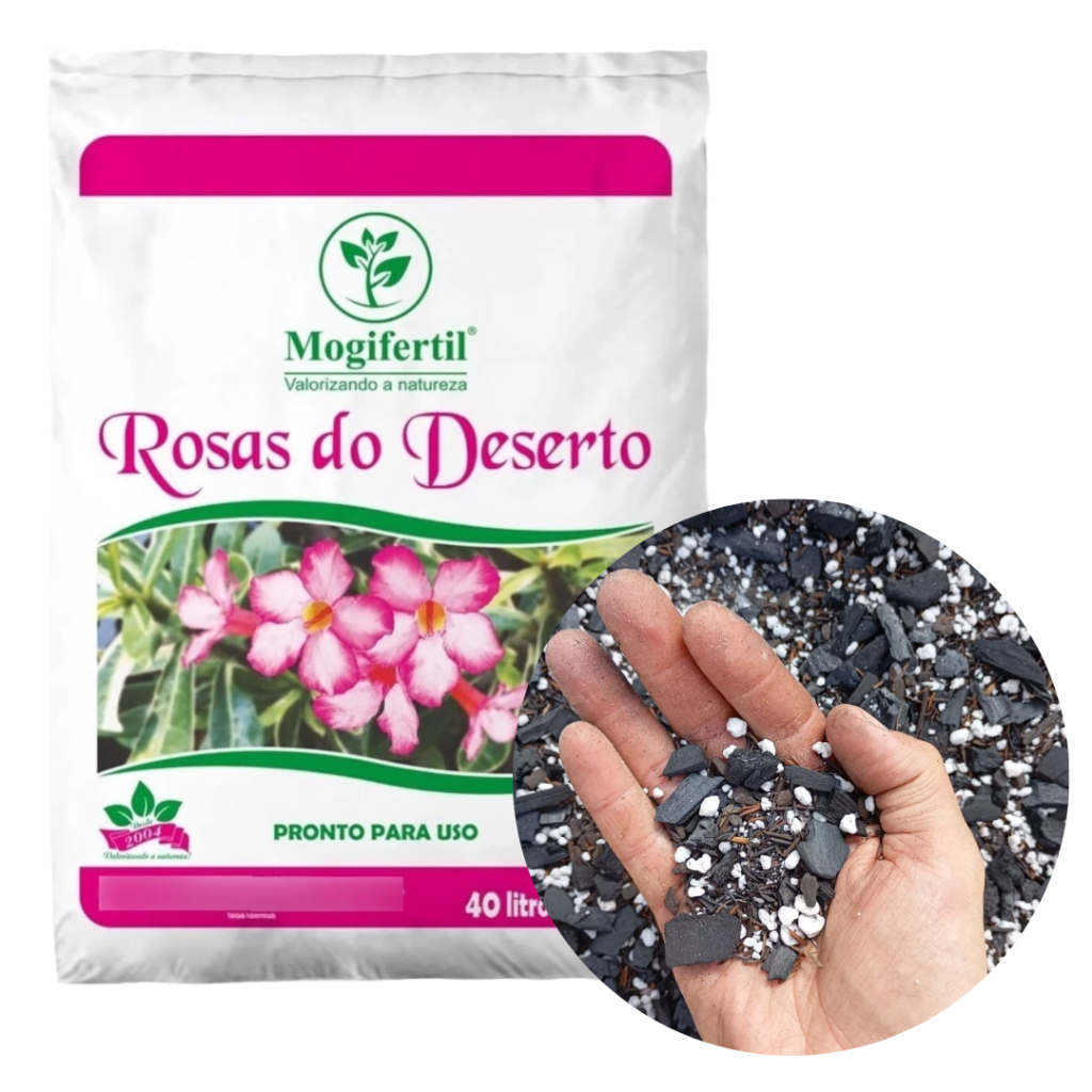 Substrato para Planta Suculentas Cacto Rosa do Des