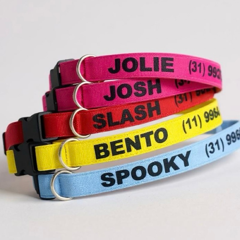 Coleira gato nome – Coleira gato personaliza