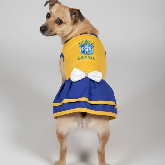 Vestido Pet Brasil Roupinha Da Copa 2026 Para Cach