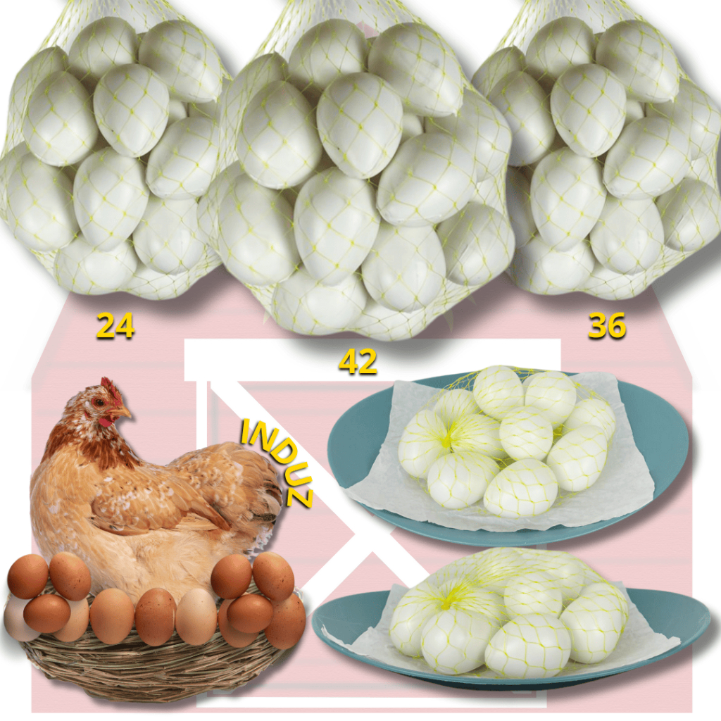 Ovo Caipira Branco Falso Brincadeira Galinheiro de