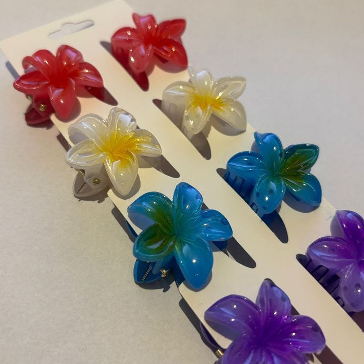 Kit 12/24/36/48 Peças Grampos piranha De Cabelo F