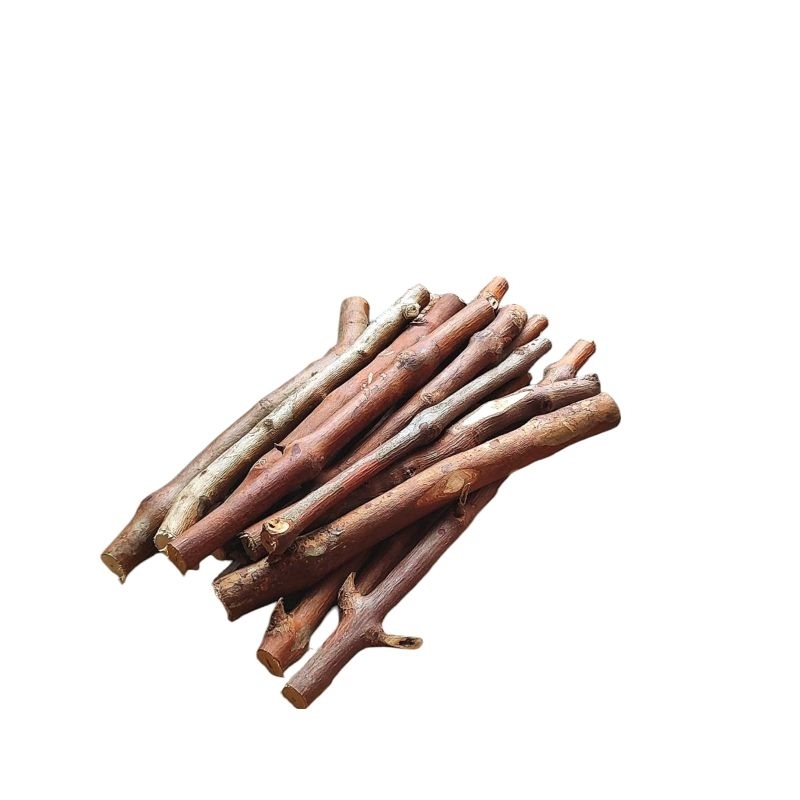 galho natural de goiabeira para roedores hamster c