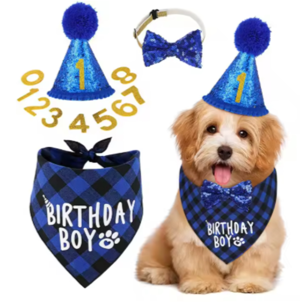 Kit Aniversário Pet Cachorro (4 Peças) Bandana X