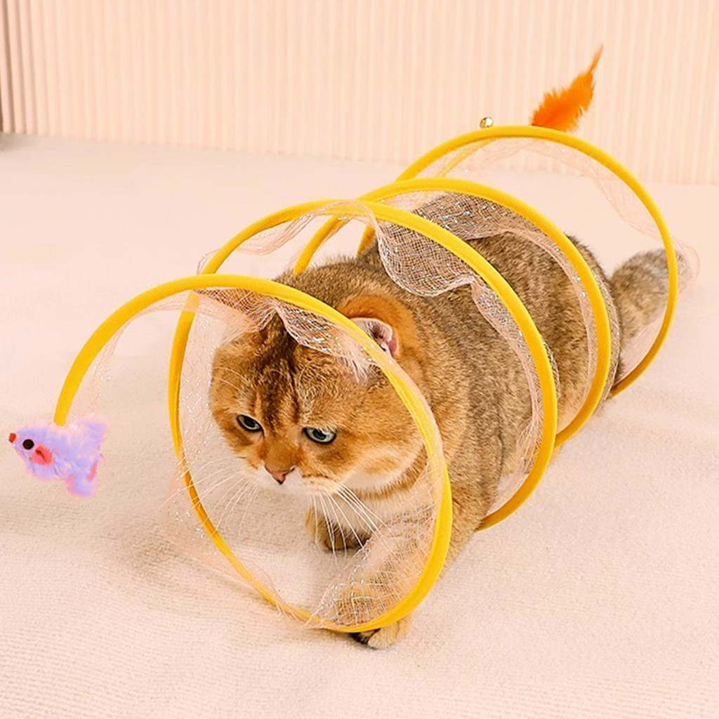 Túnel Colorido Gato Interativo Cachorro Labirinto