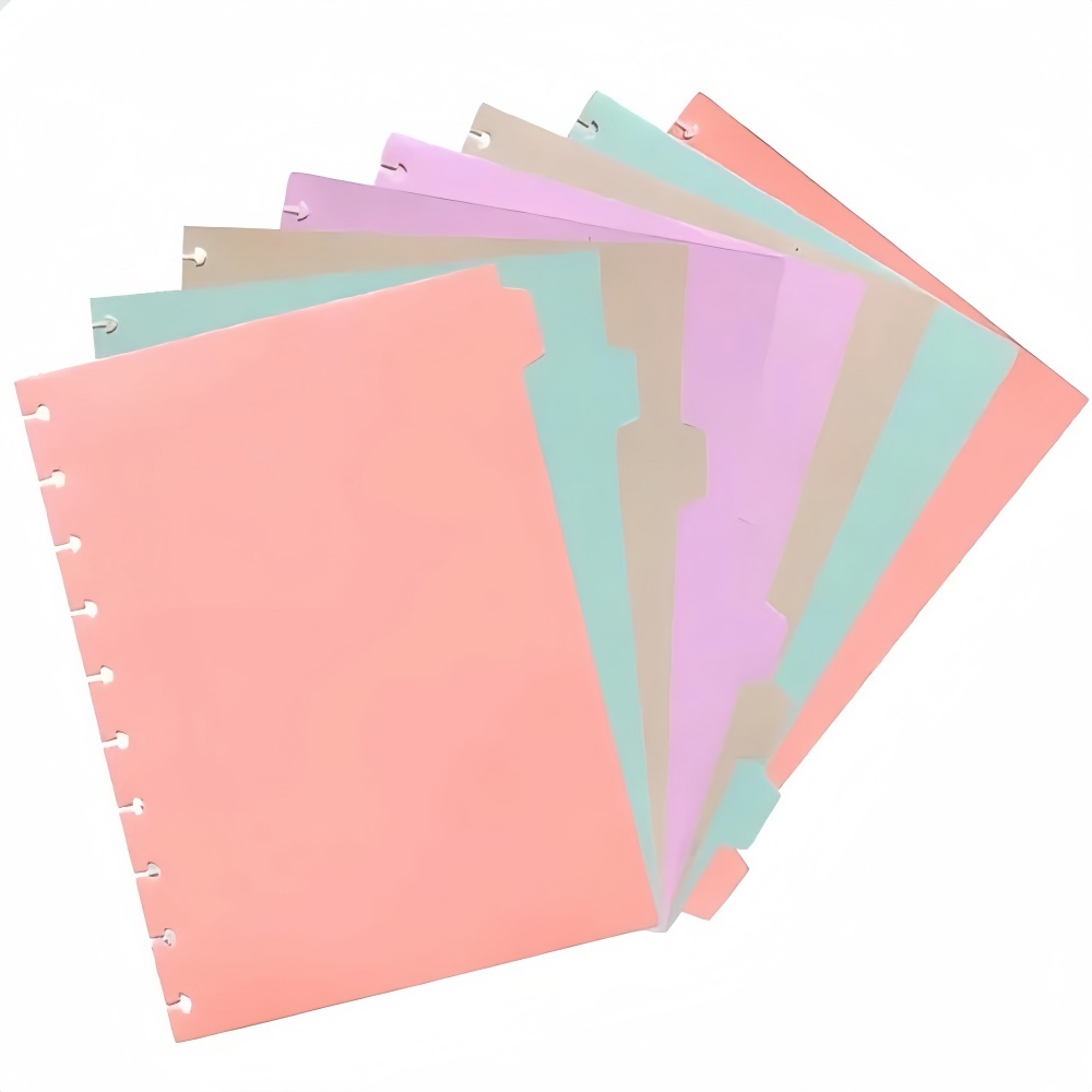 Kit 8 Peças Divisórias Coloridas Para Caderno In