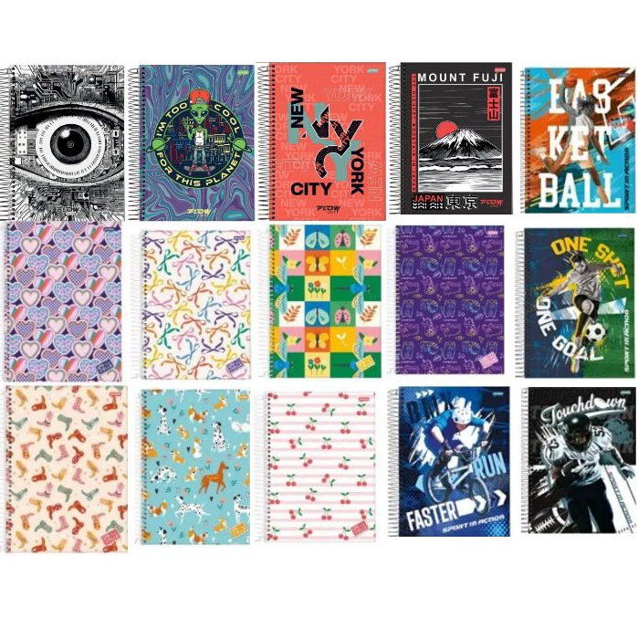 CADERNO 20 MATERIAS MASCULINO E FEMENINO VARIAS MA