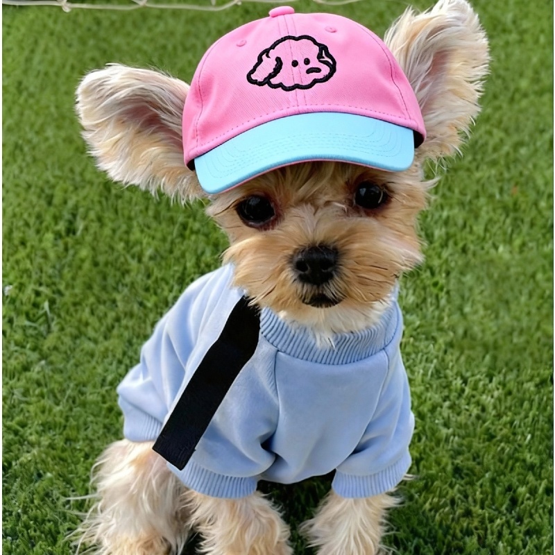 Cão de estimação chapéu de gato boné de beise