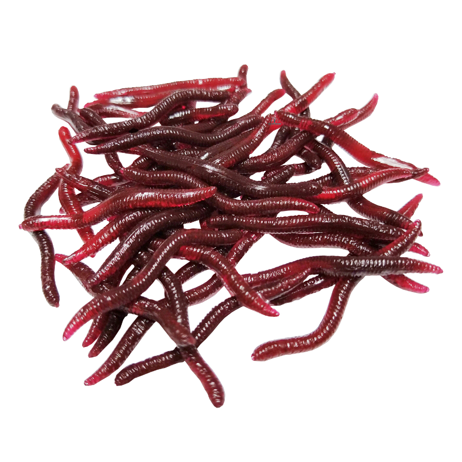 Kit Isca Artificial Minhoca Realista de Silicone S