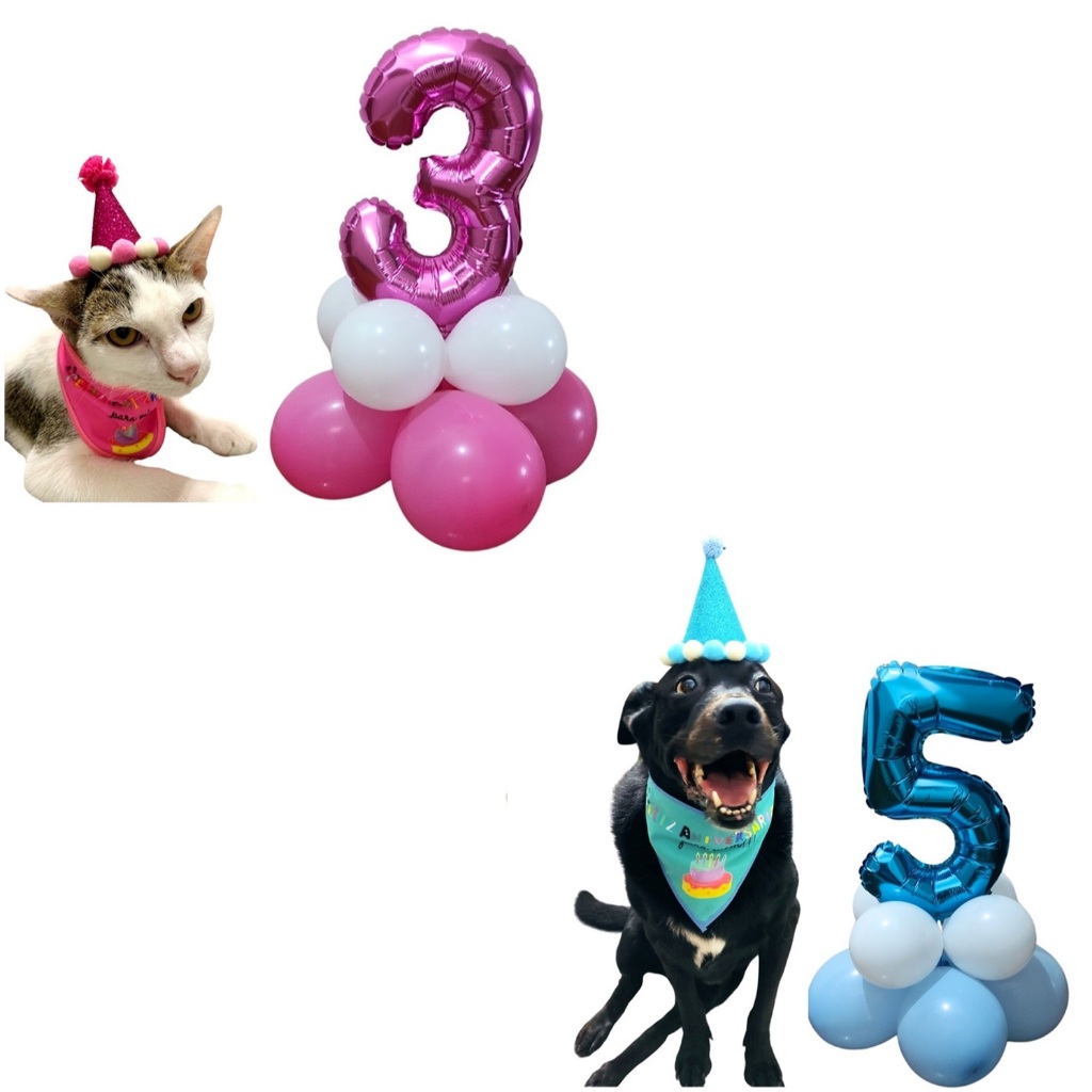 Aniversário Pet Chapéu + Bandana + Bexiga e Bal�