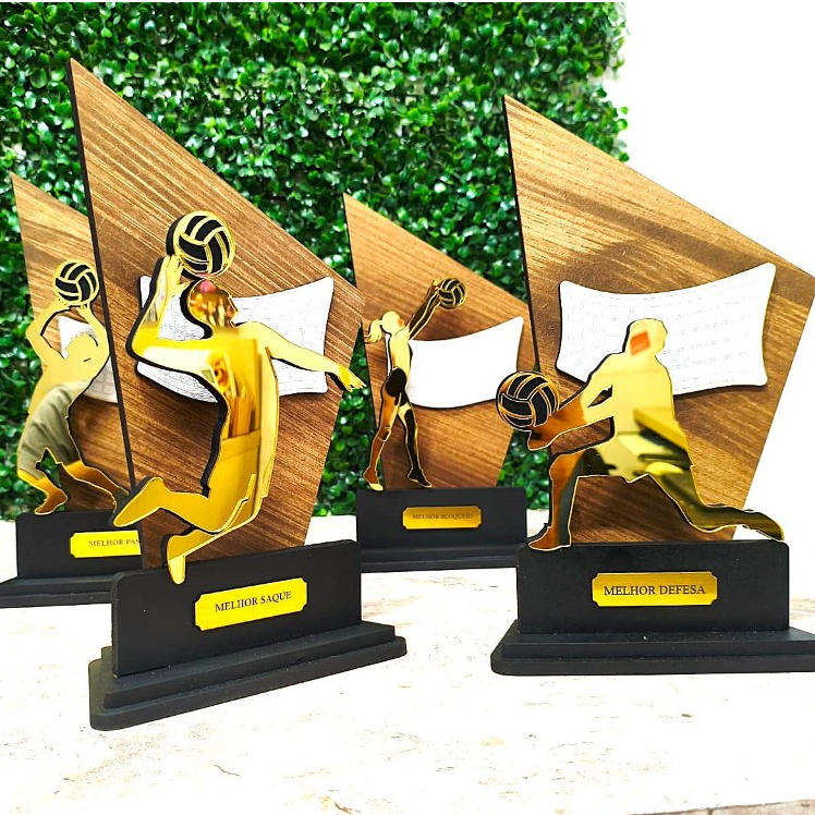 Troféu Vôlei Melhores em Quadra Premiação indi