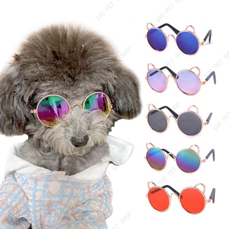 Óculos De Sol Para Gatos Cão Teddy Excêntrico P