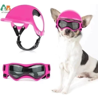 Capacete e óculos para cães, pequeno chapéu de 