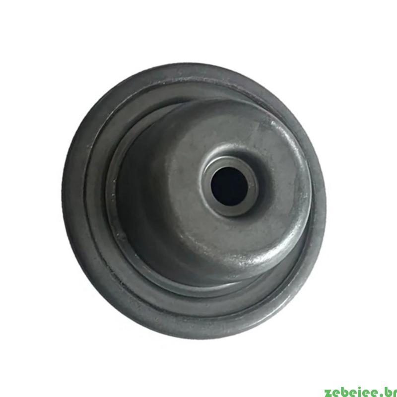 Fixação Revisão Reconstrução Pressão zebeiee